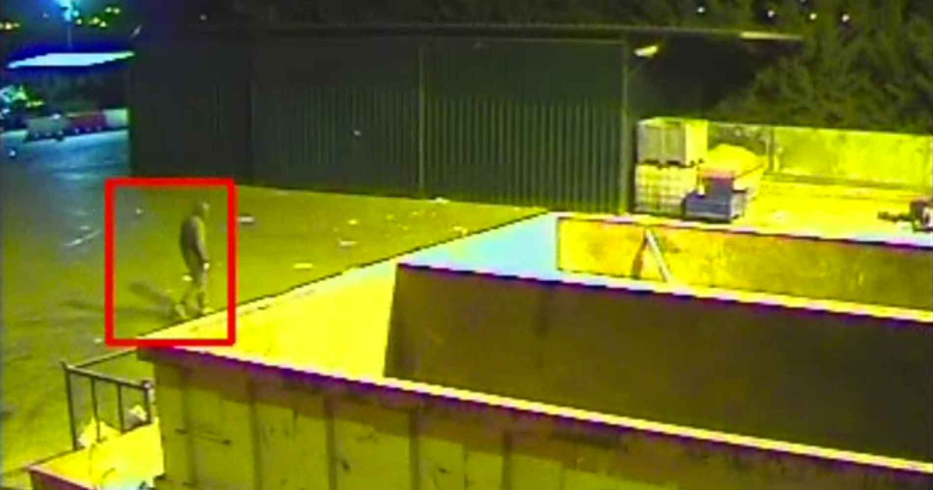 CCTV Video Analytics Screenshot