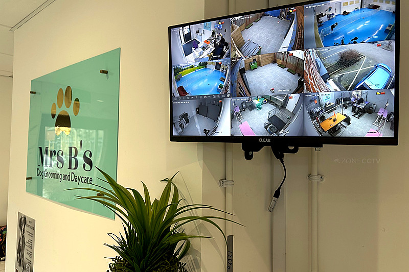 dog-grooming-cctv-monitor-system-leeds
